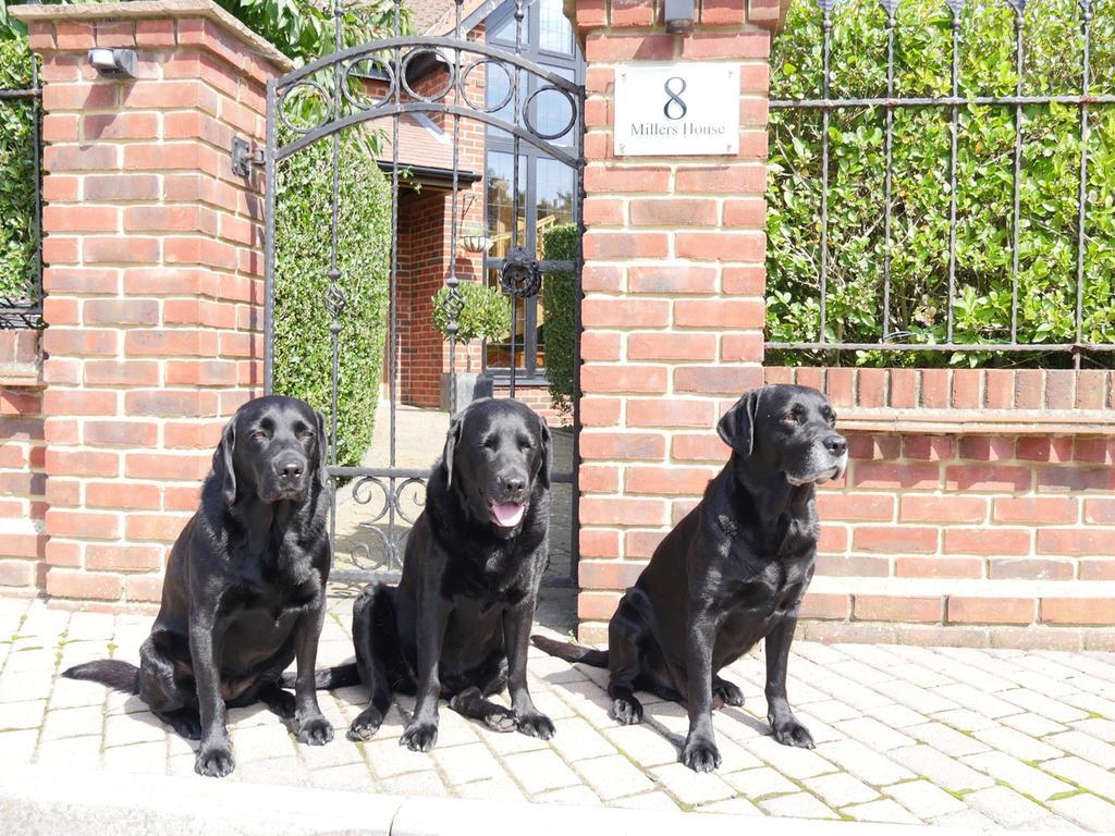 Millers House Boutique B&B Emsworth Kültér fotó